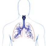 respiración pulmonar y el oxígeno