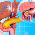 sistema digestivo del cuerpo humano