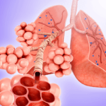 sistema respiratorio del cuerpo humano